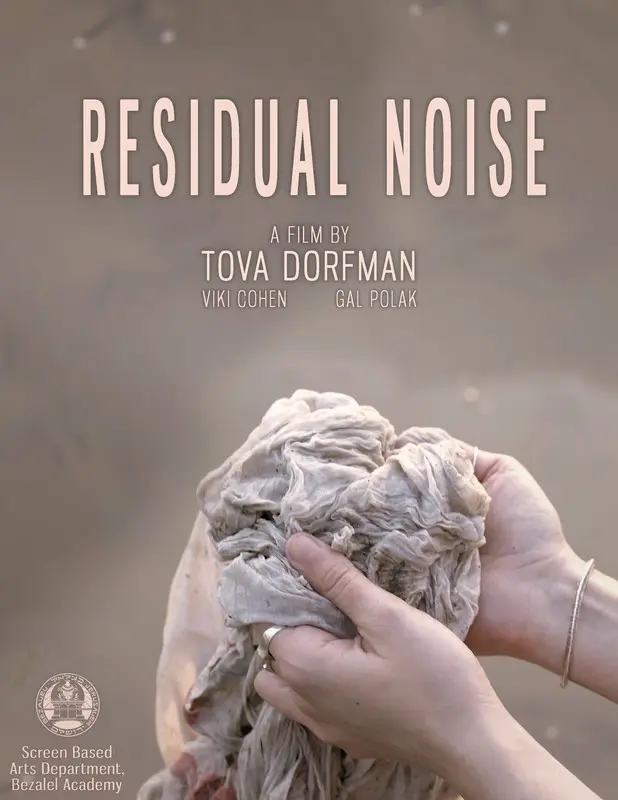 Poster for Residual Noise, AFIN 2020
