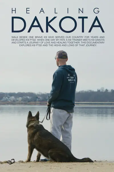 Poster for HEALING DAKOTA, directed by James Michael LaMonte, AFIN 2023